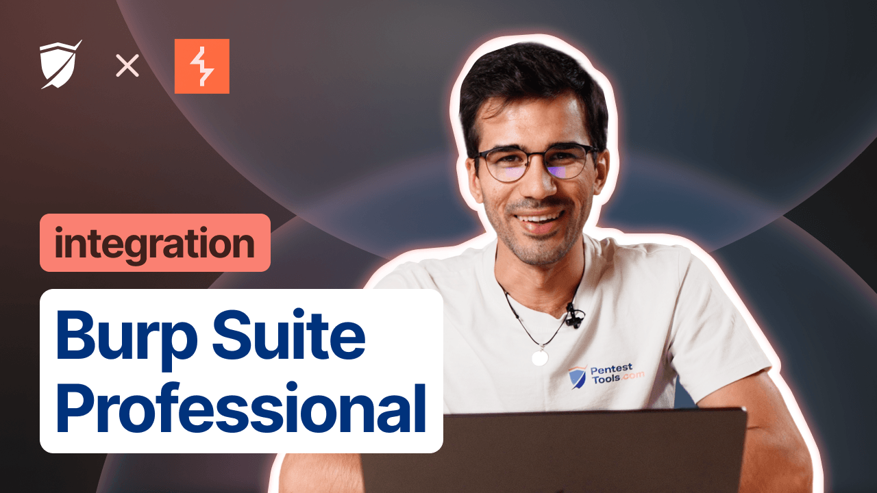 Burp Suite Professional integration